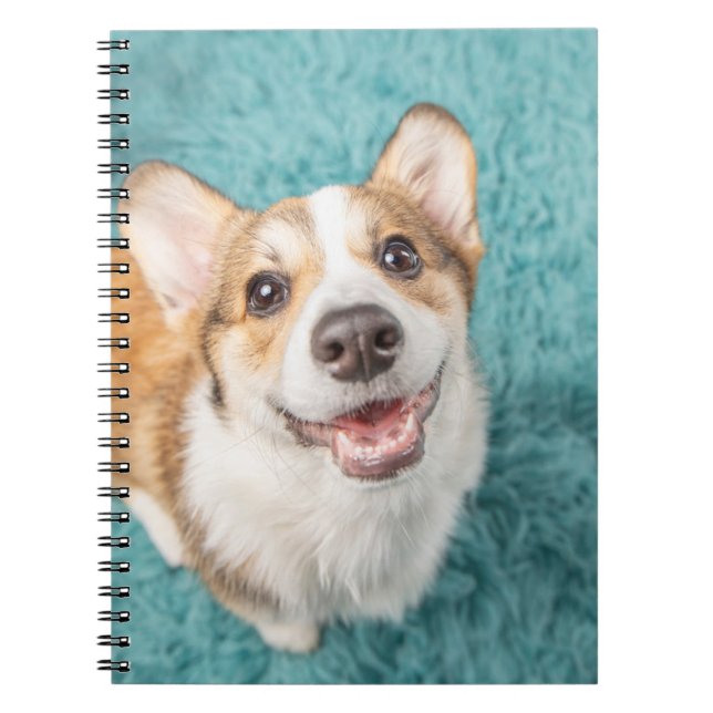 Cutest Baby Animals | Cute Corgi Puppy Smile Notebook (Front)