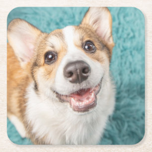 Cutest Baby Animals Cute Corgi Puppy Smile Square Paper Coaster