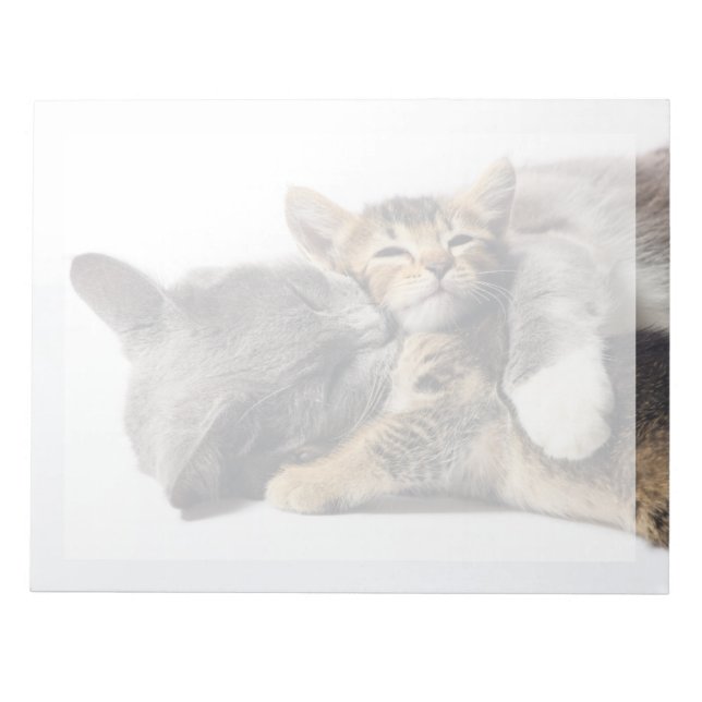 Cutest Baby Animals | Cute Kitten Hug Notepad (Front)