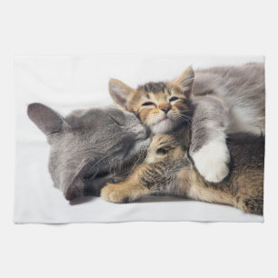 Cutest Baby Animals Cute Kitten Hug Tea Towel