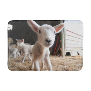 Cutest Baby Animals Cute Lamb in a Farm Bath Mat
