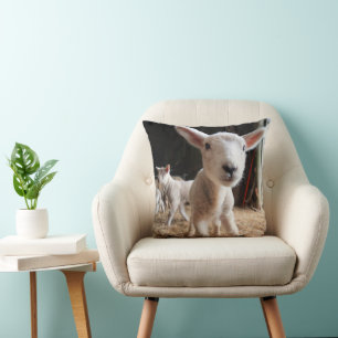 Cutest Baby Animals Cute Lamb in a Farm Cushion