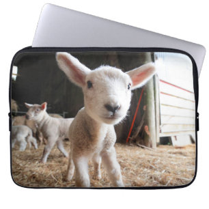 Cutest Baby Animals   Cute Lamb in a Farm Laptop Sleeve