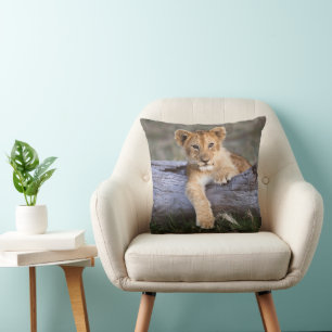 Cutest Baby Animals   Cute Lion Cub Cushion