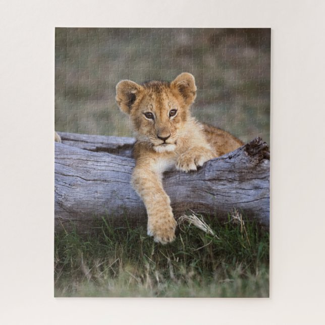 Cutest Baby Animals | Cute Lion Cub Jigsaw Puzzle (Vertical)