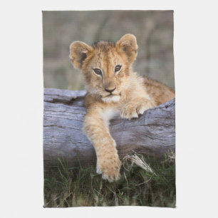 Cutest Baby Animals   Cute Lion Cub Tea Towel