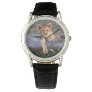 Cutest Baby Animals Cute Lion Cub Watch