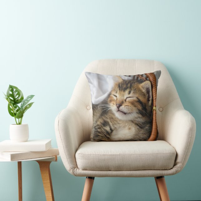 Cutest Baby Animals | Cute Tabby Cat Sleeping Cushion (Chair)