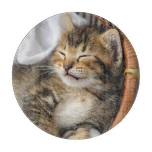 Cutest Baby Animals Cute Tabby Cat Sleeping Cutting Board