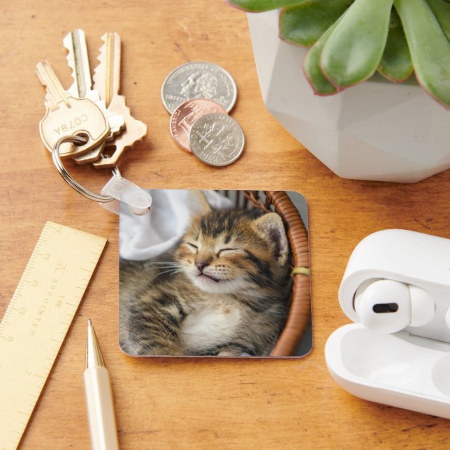 Cutest Baby Animals | Cute Tabby Cat Sleeping Key Ring (Desk)