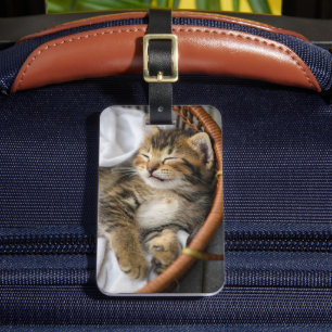 Cutest Baby Animals   Cute Tabby Cat Sleeping Luggage Tag