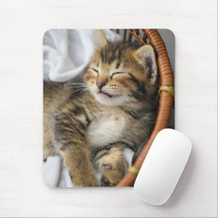 Cutest Baby Animals   Cute Tabby Cat Sleeping Mouse Pad