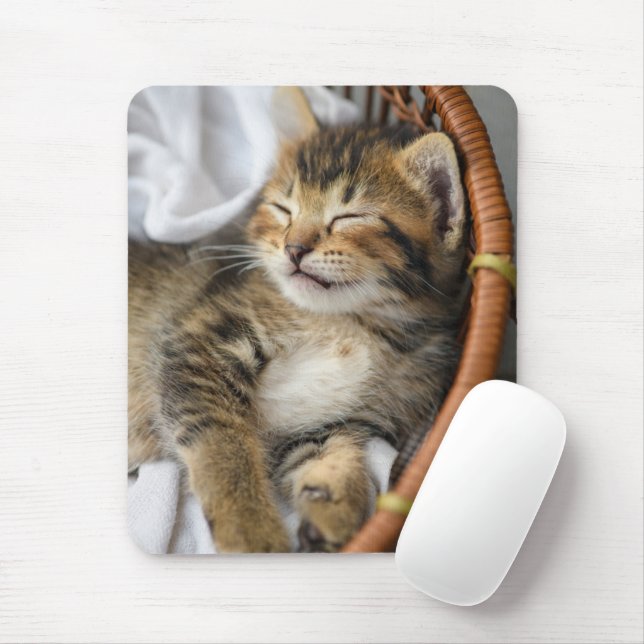 Cutest Baby Animals | Cute Tabby Cat Sleeping Mouse Pad (With Mouse)