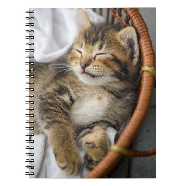 Cutest Baby Animals | Cute Tabby Cat Sleeping Notebook (Front)