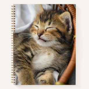 Cutest Baby Animals Cute Tabby Cat Sleeping Notebook