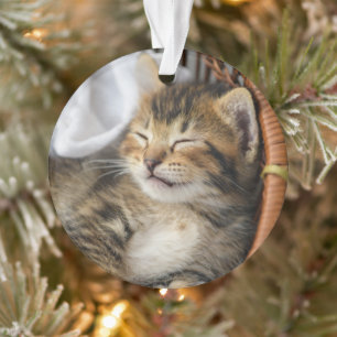 Cutest Baby Animals   Cute Tabby Cat Sleeping Ornament