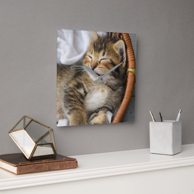 Cutest Baby Animals | Cute Tabby Cat Sleeping Square Wall Clock (Office)