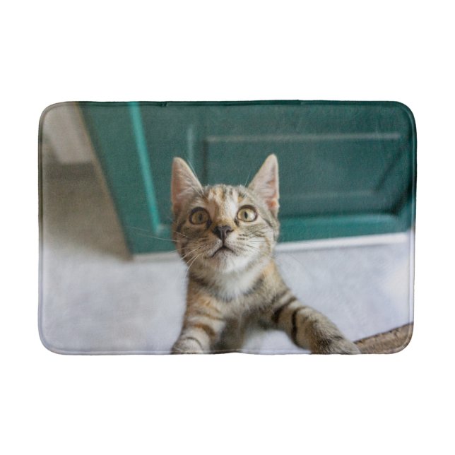 Cutest Baby Animals | Cute Tabby Kitten Bath Mat (Front)