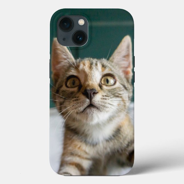 Cutest Baby Animals | Cute Tabby Kitten Case-Mate iPhone Case (Back)