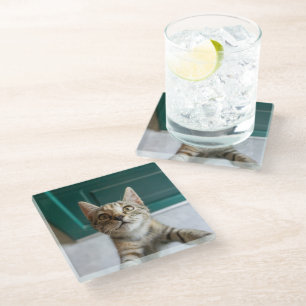 Cutest Baby Animals Cute Tabby Kitten Glass Coaster