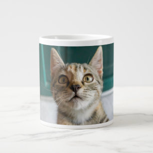 Cutest Baby Animals Cute Tabby Kitten Large Coffee Mug
