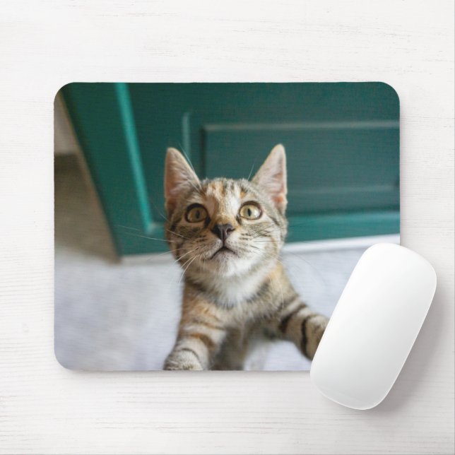 Cutest Baby Animals | Cute Tabby Kitten Mouse Pad (With Mouse)
