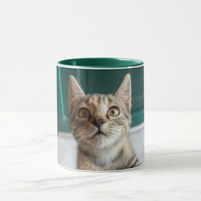 Cutest Baby Animals | Cute Tabby Kitten Mug (Center)