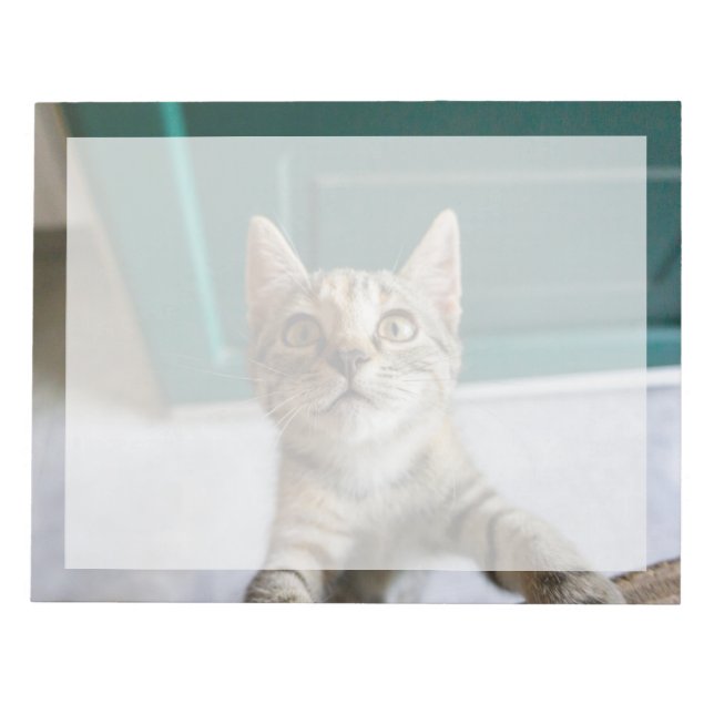 Cutest Baby Animals | Cute Tabby Kitten Notepad (Front)