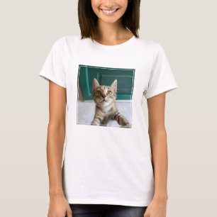 Cutest Baby Animals Cute Tabby Kitten T-Shirt