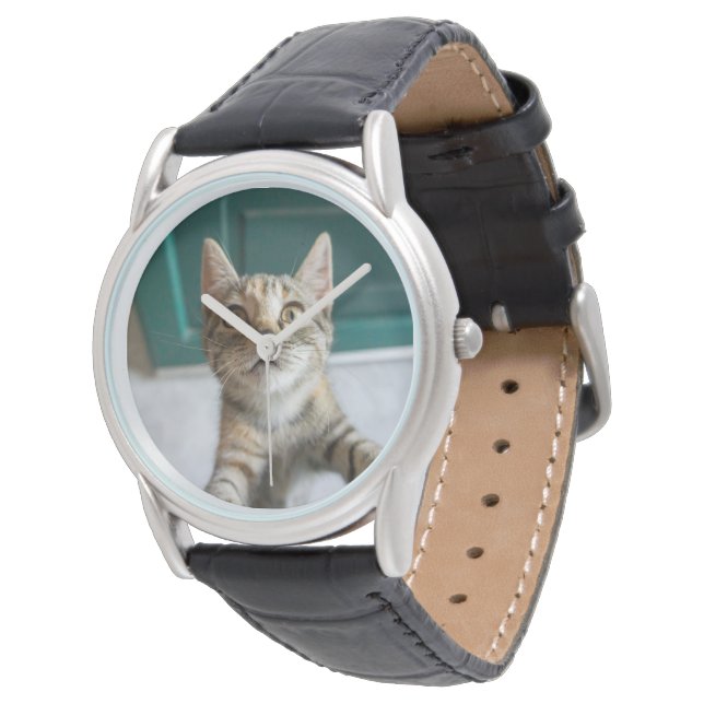 Cutest Baby Animals | Cute Tabby Kitten Watch (Angled)