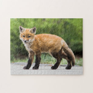 Cutest Baby Animals Cutey Fox Jigsaw Puzzle