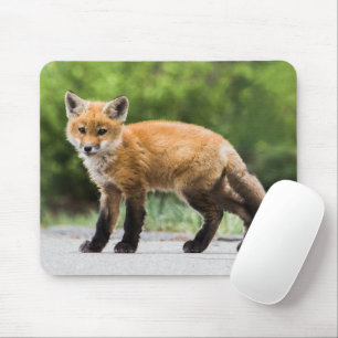 Cutest Baby Animals Cutey Fox Mouse Pad