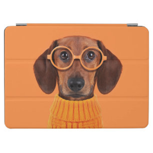 Cutest Baby Animals   Dachshund Orange Sweater iPad Air Cover