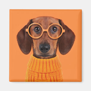 Cutest Baby Animals   Dachshund Orange Sweater Magnet