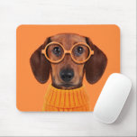 Cutest Baby Animals | Dachshund Orange Sweater Mouse Pad<br><div class="desc">This cute Getty Images photo features Dachshund with eyes glasses and sweater.</div>