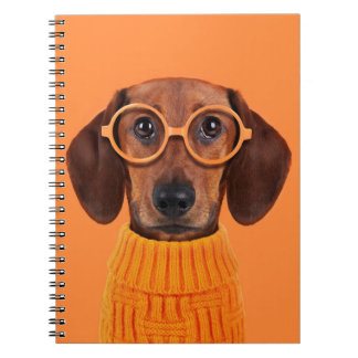 Cutest Baby Animals | Dachshund Orange Sweater Notebook