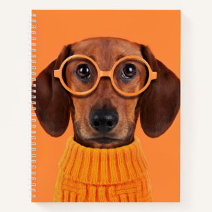 Cutest Baby Animals   Dachshund Orange Sweater Notebook