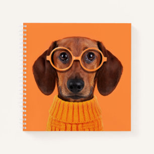 Cutest Baby Animals Dachshund Orange Sweater Notebook