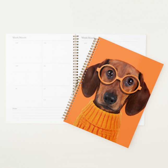 Cutest Baby Animals | Dachshund Orange Sweater Planner (Display)