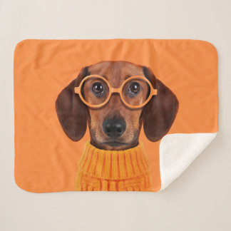 Cutest Baby Animals | Dachshund Orange Sweater Sherpa Blanket