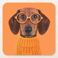 Cutest Baby Animals | Dachshund Orange Sweater