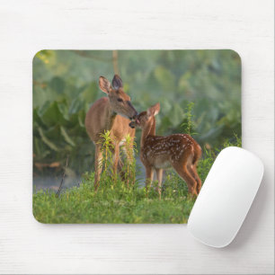 Cutest Baby Animals   Deer and Baby Mouse Pad