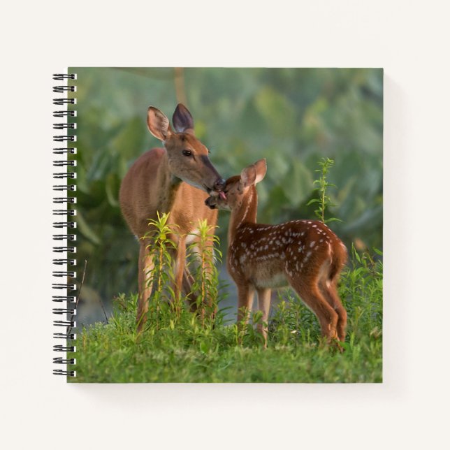 Cutest Baby Animals | Deer and Baby Notebook (Front)