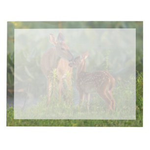 Cutest Baby Animals Deer and Baby Notepad