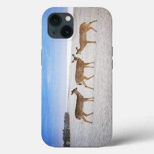 Cutest Baby Animals Deer at the Beach iPhone 13 Case