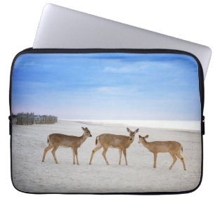 Cutest Baby Animals   Deer at the Beach Laptop Sleeve