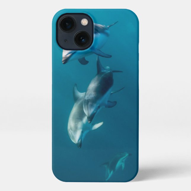 Cutest Baby Animals | Dolphin Family iPhone Case (Back)