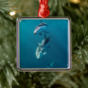 Cutest Baby Animals   Dolphin Family Metal Ornament
