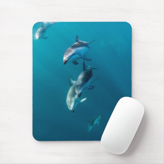 Cutest Baby Animals | Dolphin Family Mouse Pad (With Mouse)