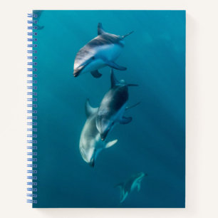 Cutest Baby Animals Dolphin Family Notebook
